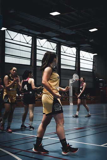 basket