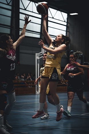 basket